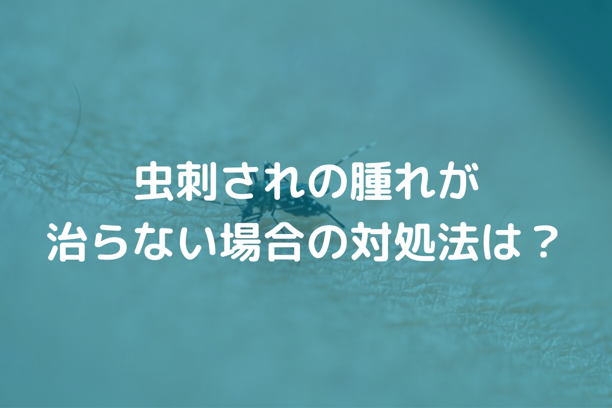 虫刺されの腫れが治らない場合の対処法