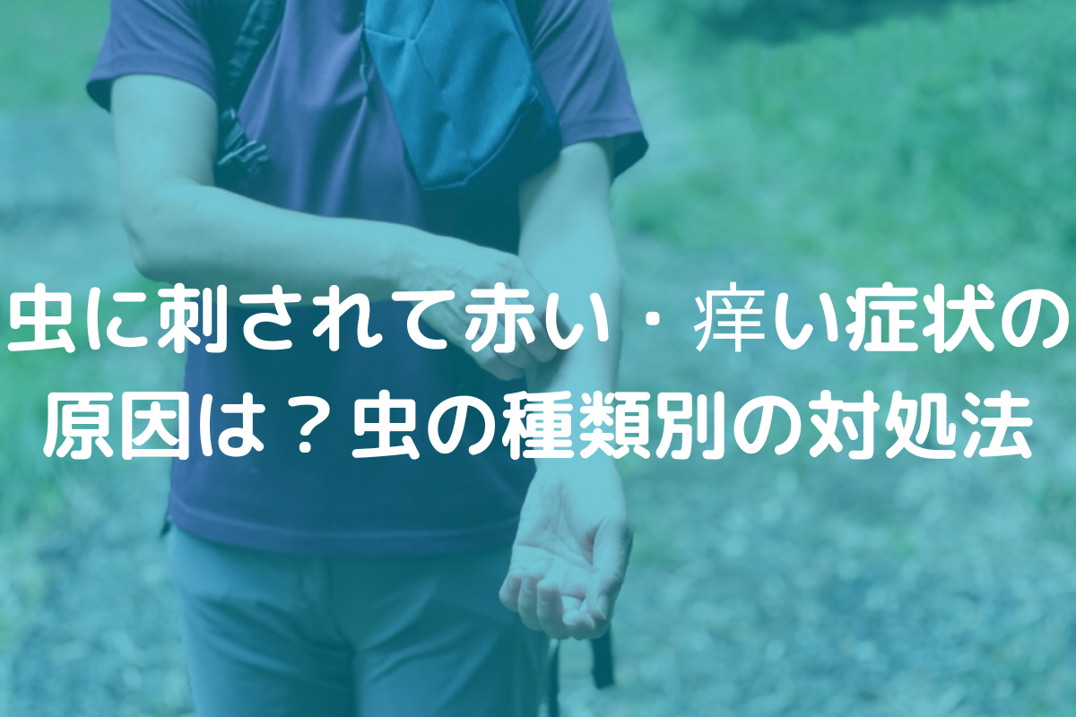 虫に刺されて赤い・痒い症状の原因